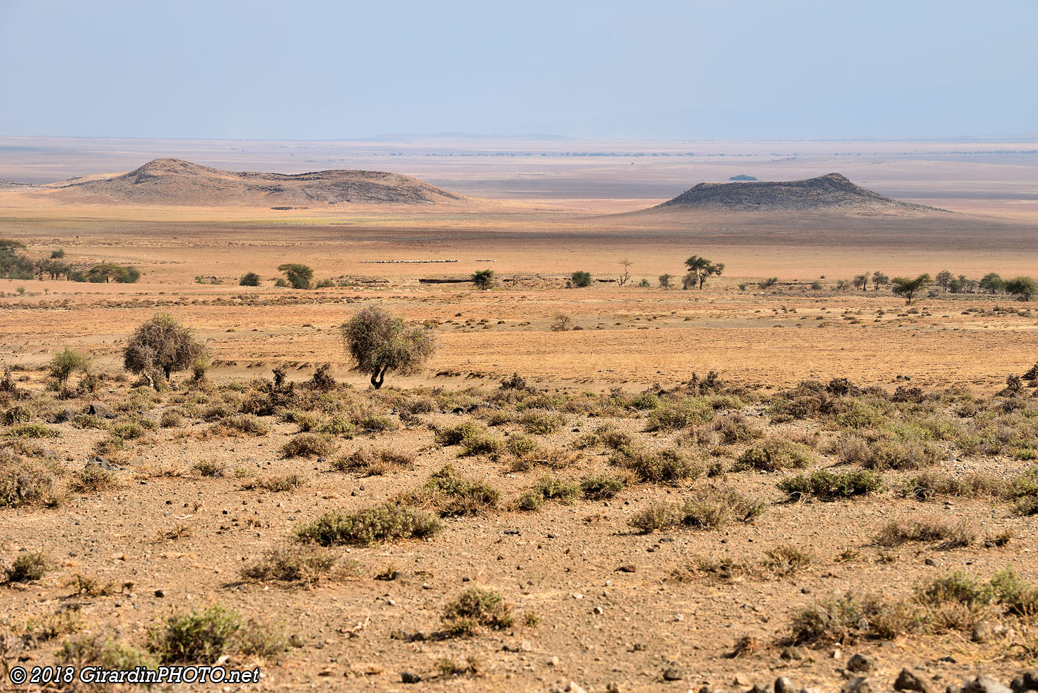 Vallée du Grand Rift