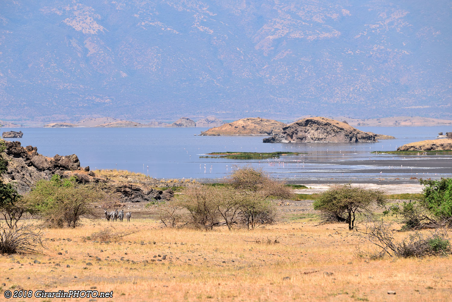 Points de vue sur le Lake Natron