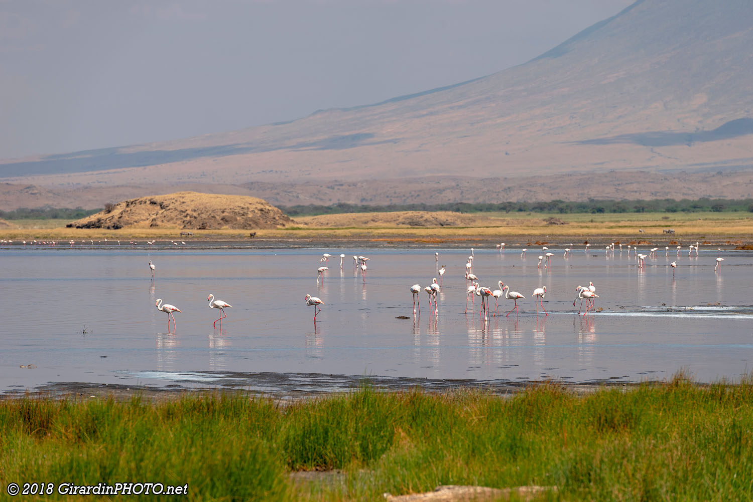 Points de vue sur le Lake Natron