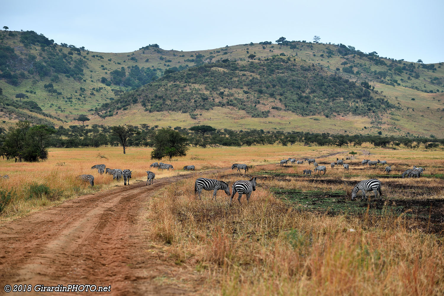 Piste au nord du Serengeti