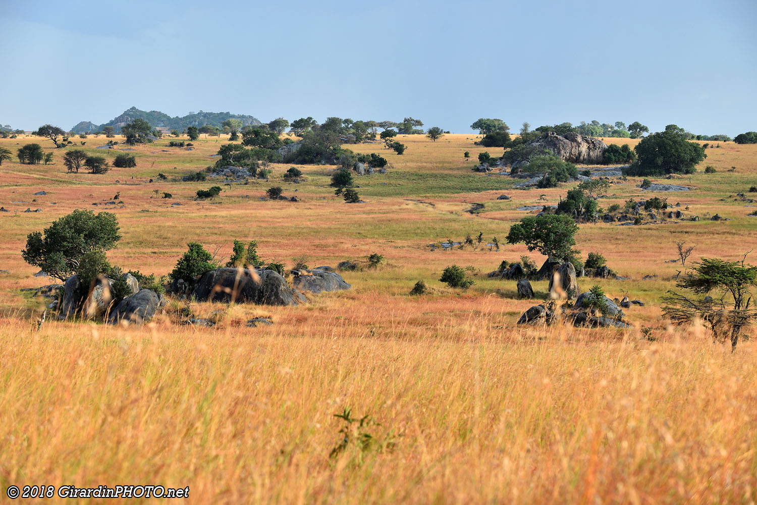Lobo Plains