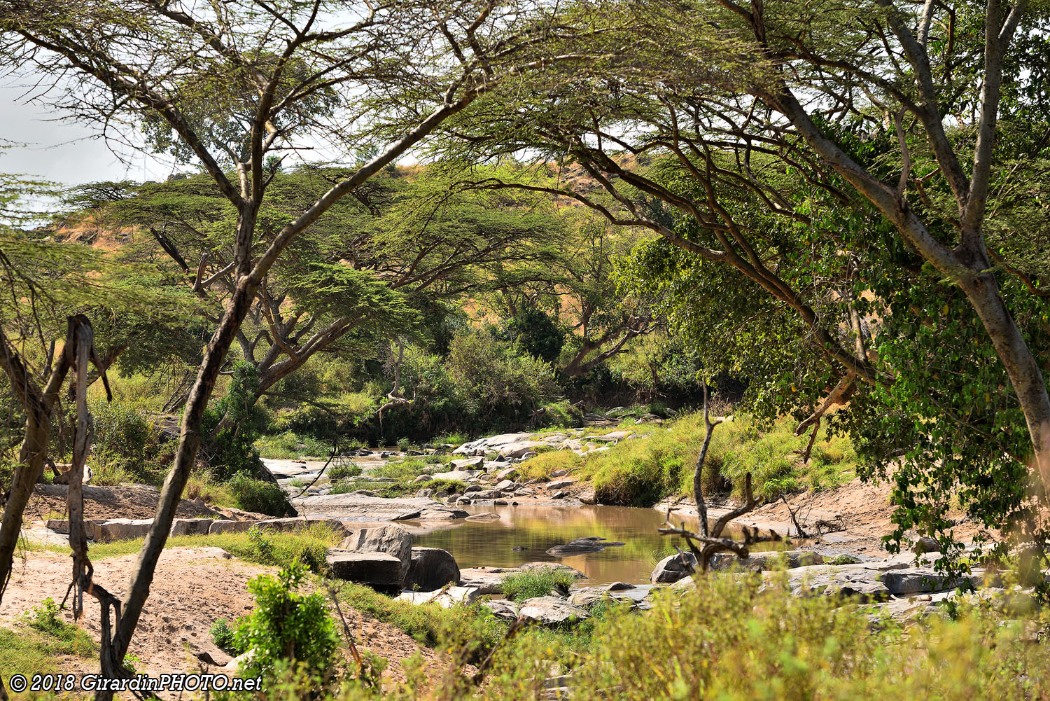 Grumeti River