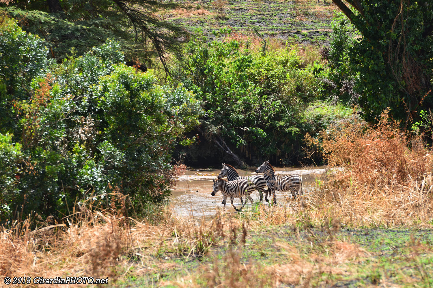 River crossing