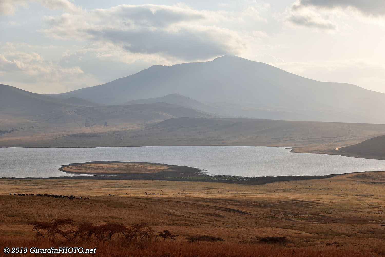 Paysage sur les bords du Ngorongoro Crater