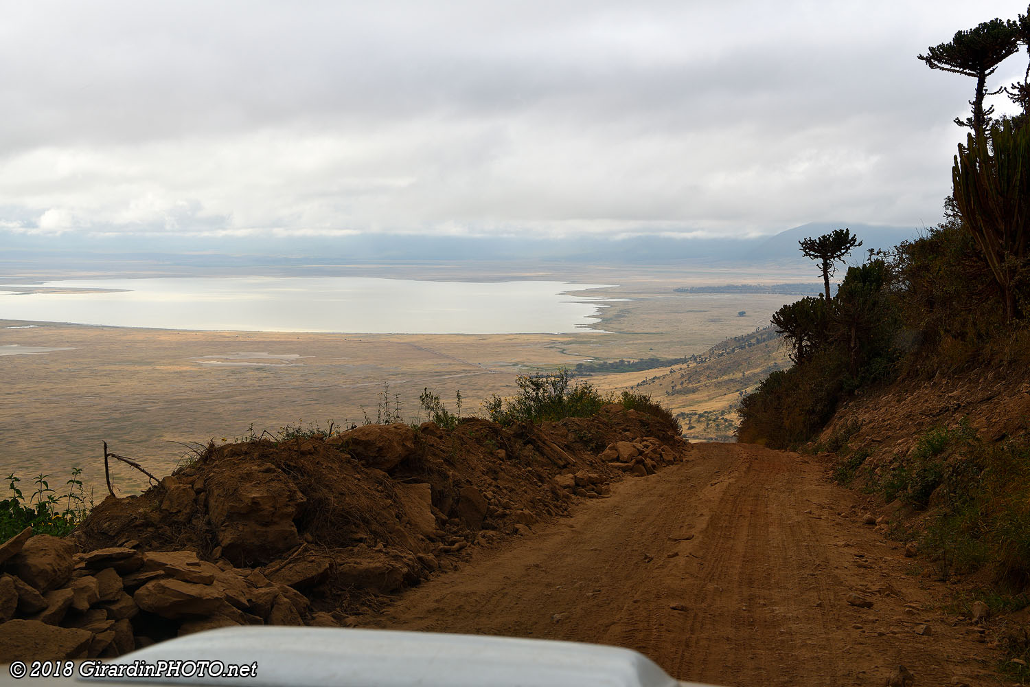 Piste d'accès au Ngorongoro Crater
