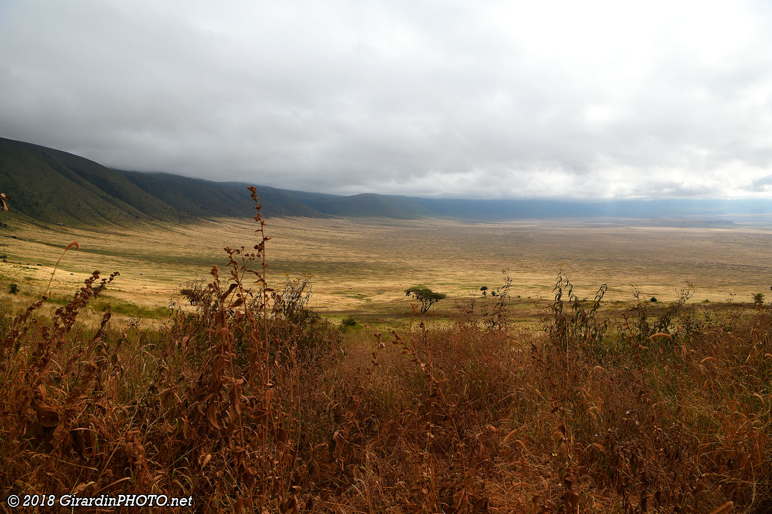 Ngorongoro Crater
