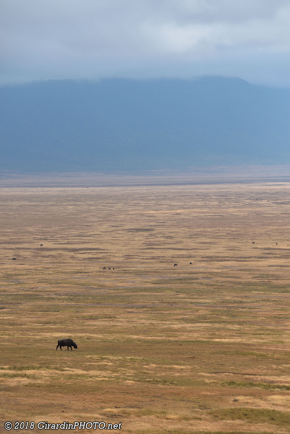 Ngorongoro Crater