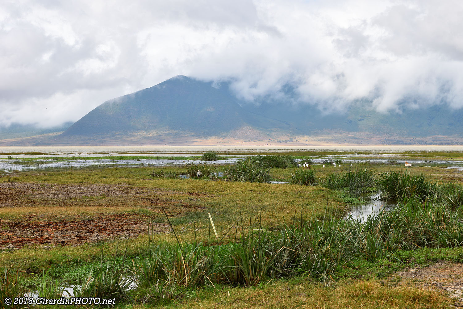 Paysage dans le Ngorongoro Crater