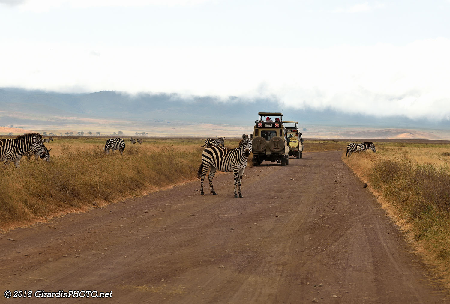 Piste du Ngorongoro Crater
