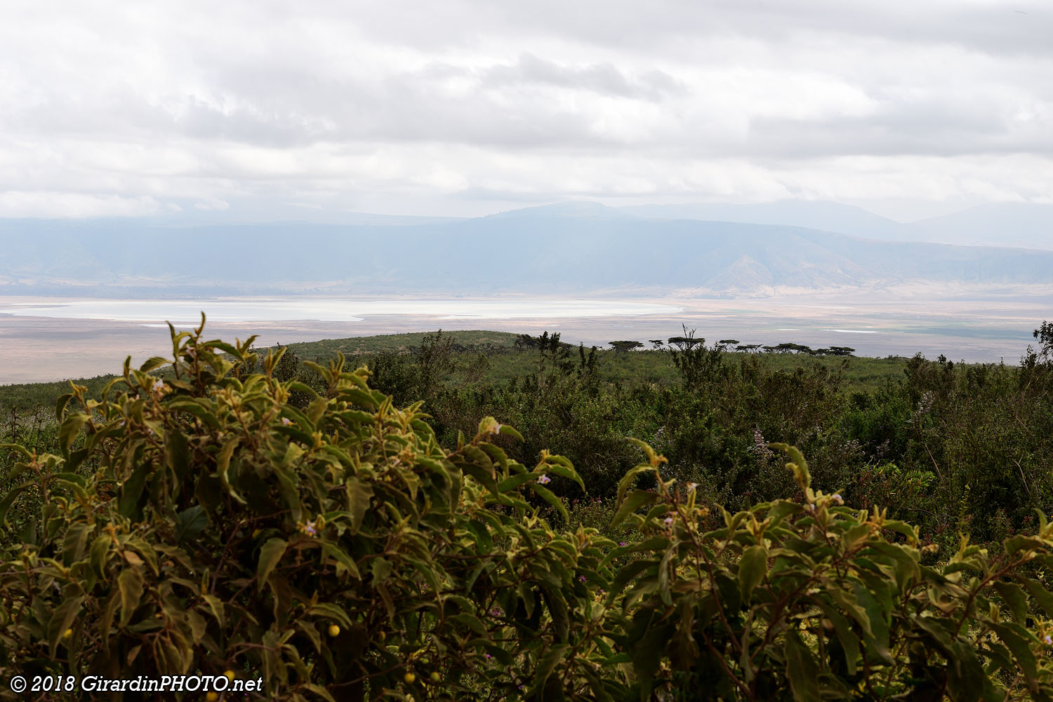 Vue depuis Lemala Gate sur le Ngorongoro Crater