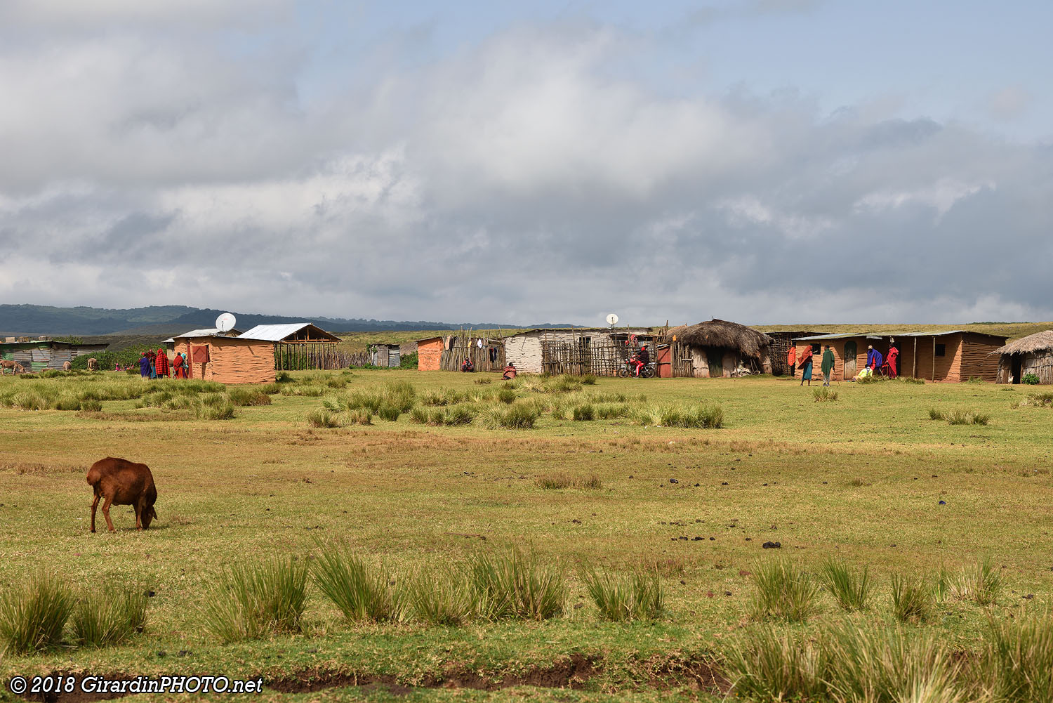 Village massaï