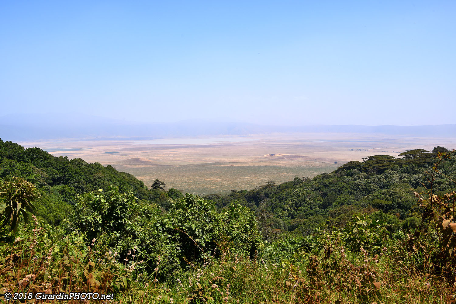 Ngorongoro Crater