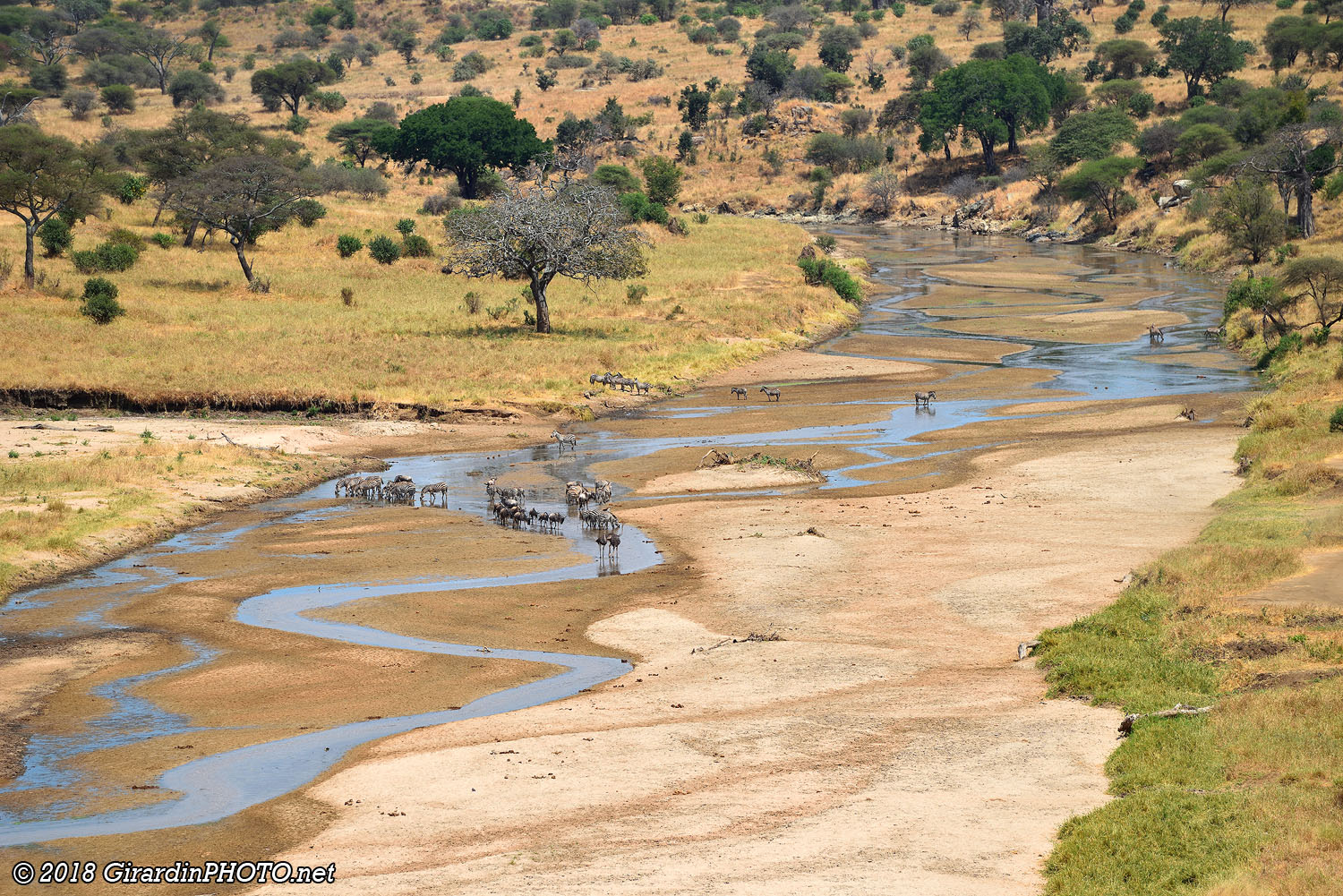 Tarangire River
