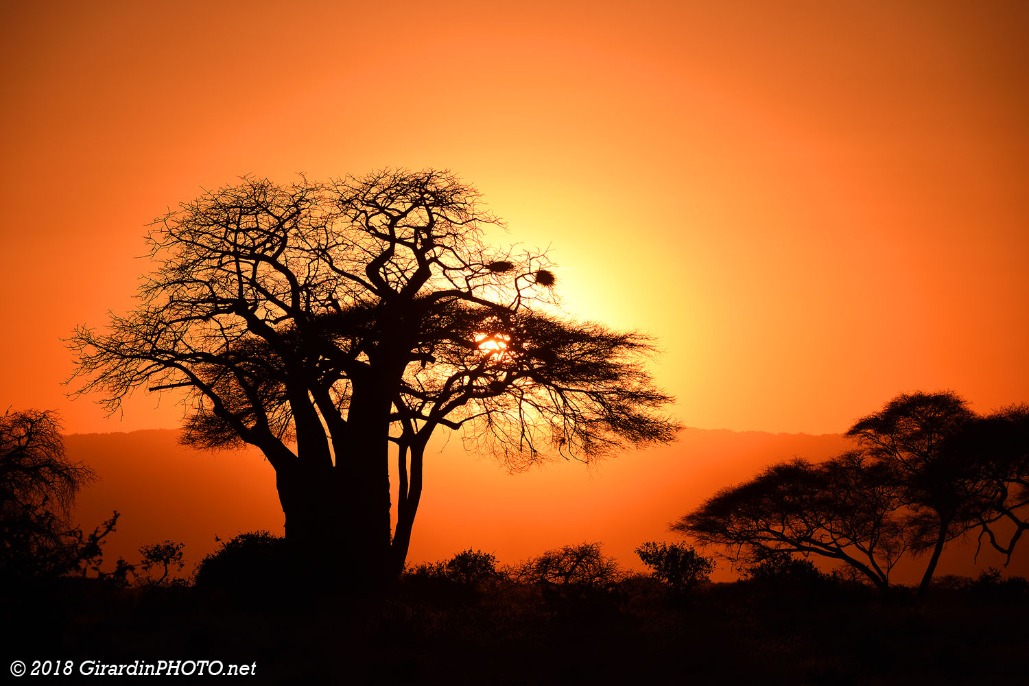 Coucher de soleil dans la savane