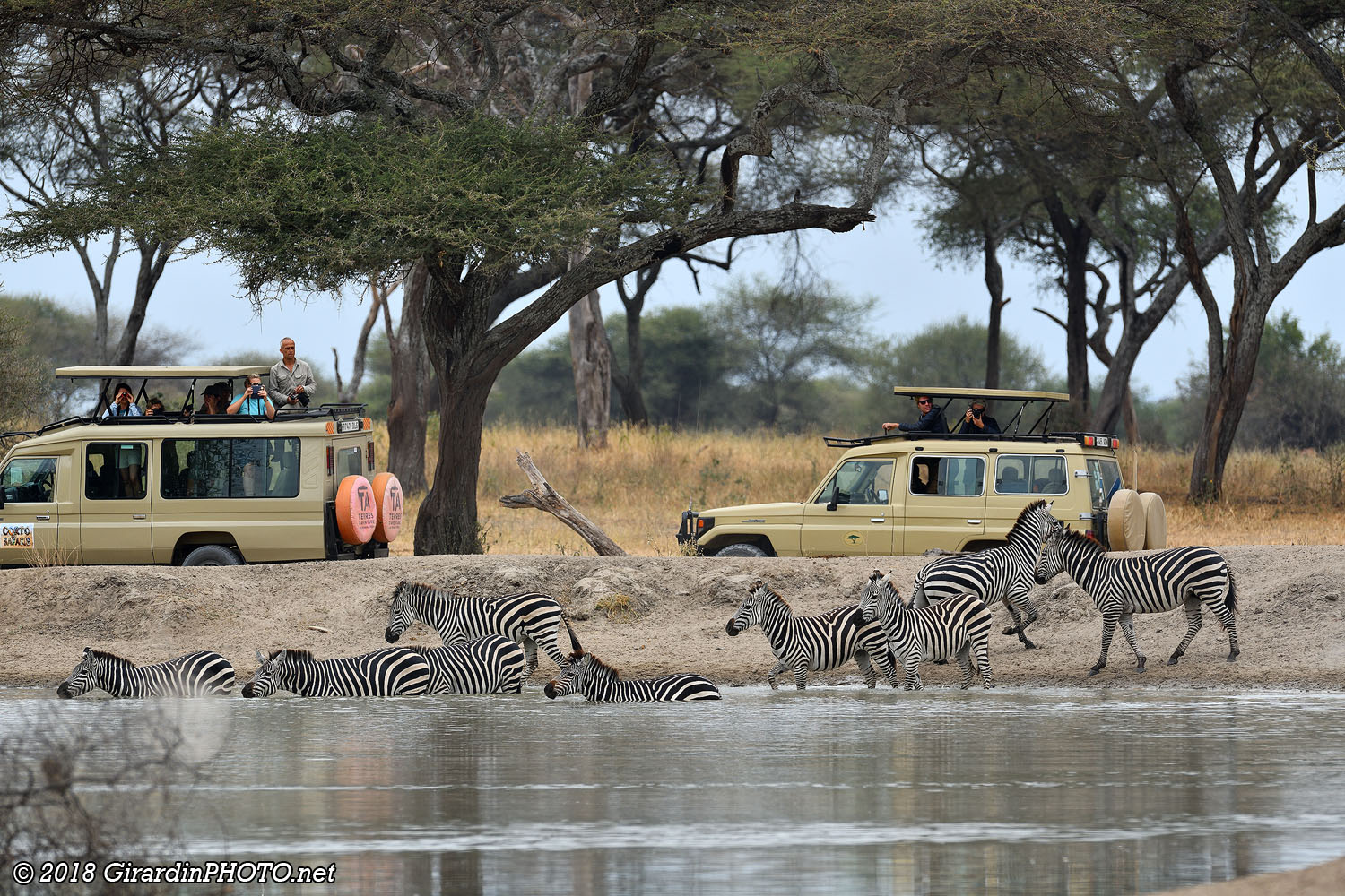 Au deuxième waterhole, nous ne sommes pas seuls