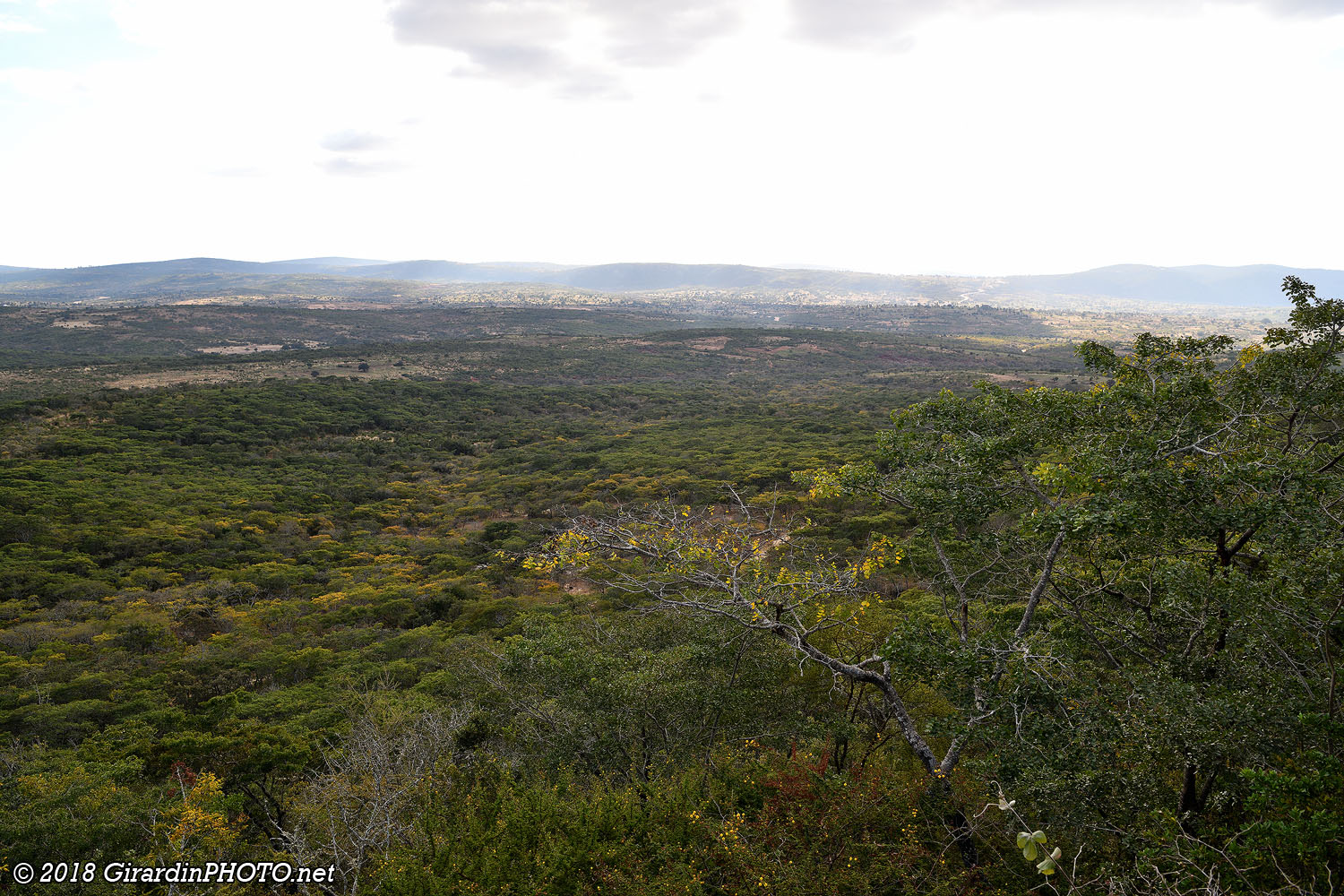 Vue sur la plaine de Kondoa