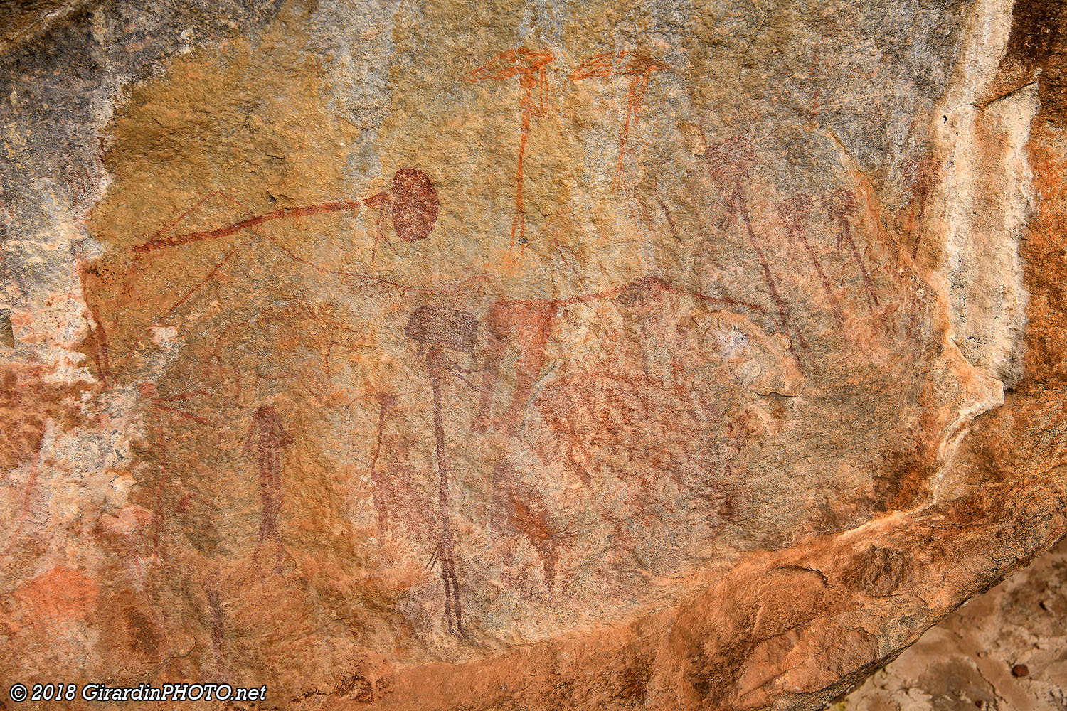 Scène de vie où l'on peut voir des bushmen porter du bois sur la tête