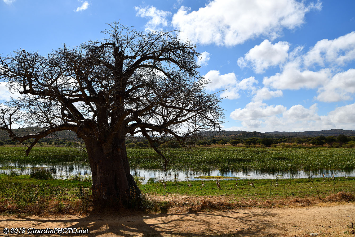 Paysage le long de la route A104 en direction de Dodoma