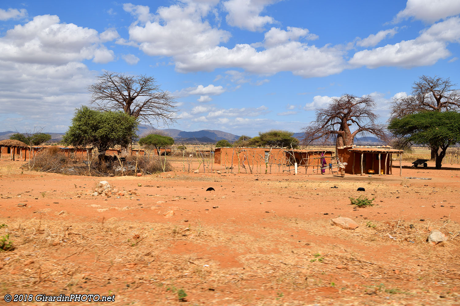Habitations et baobabs