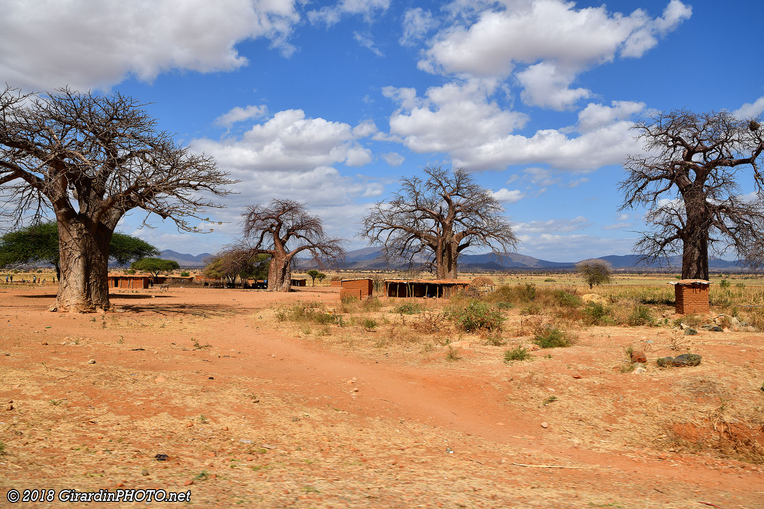 Habitations et baobabs