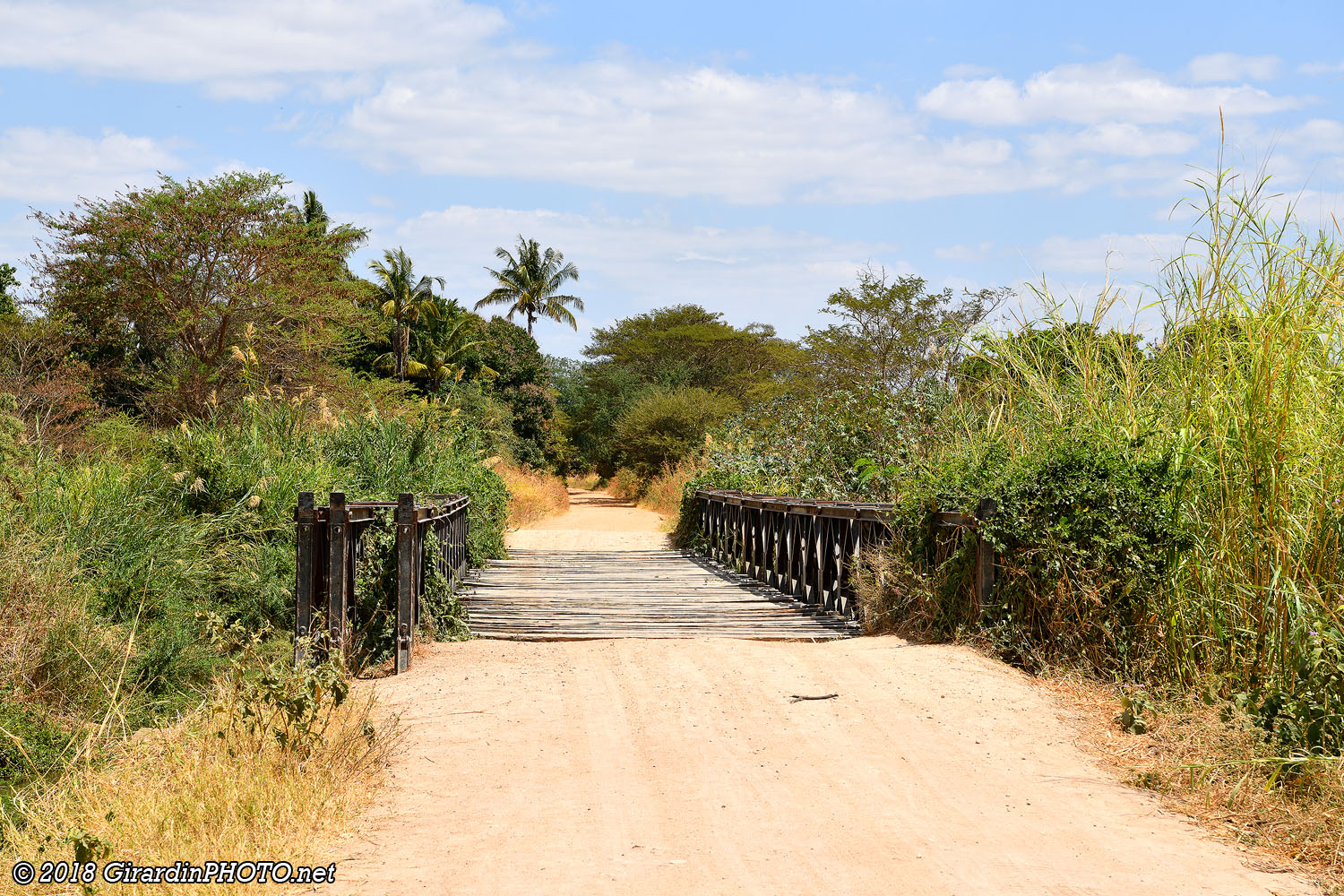 Piste pour le Ruaha National Park