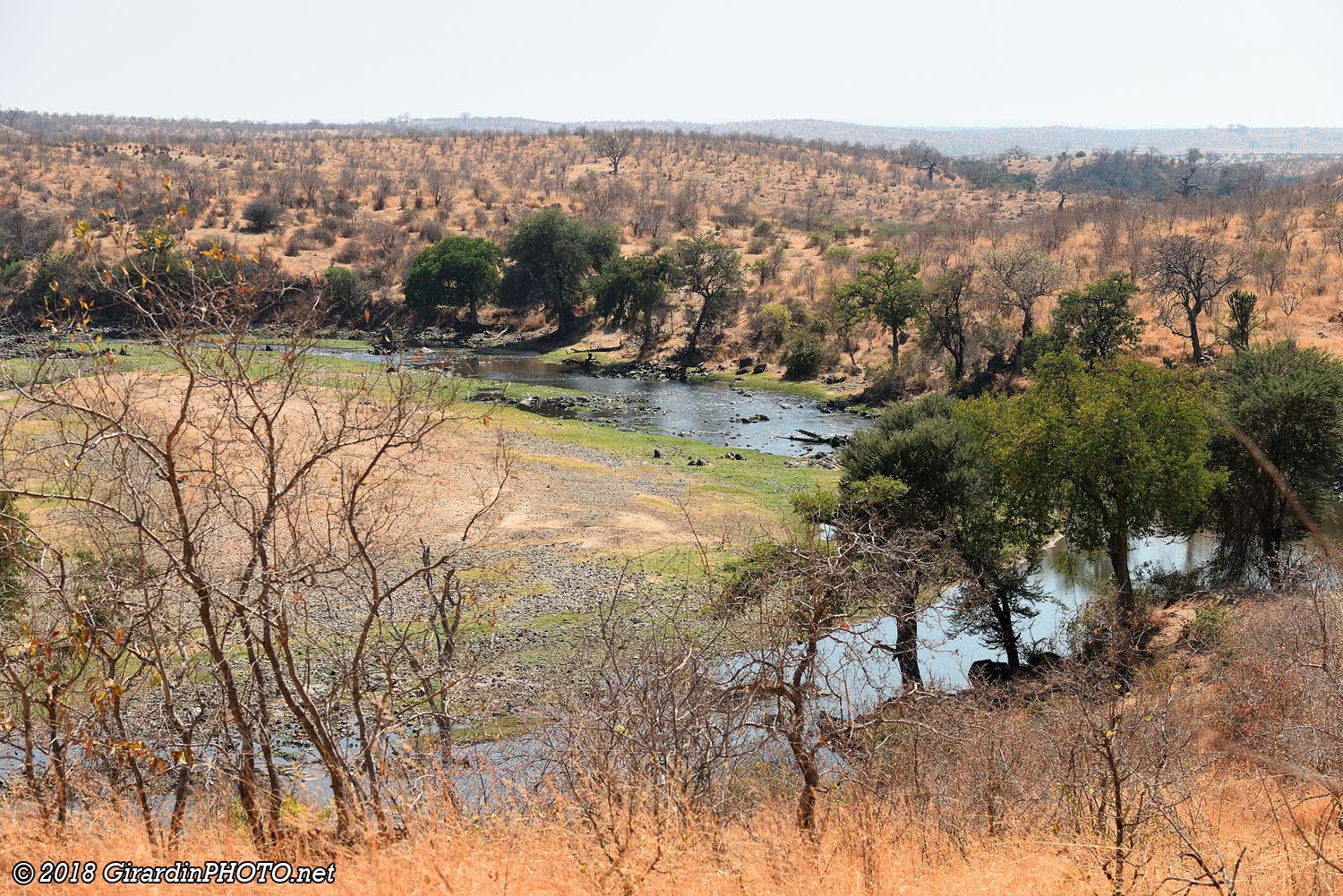 Great Ruaha River