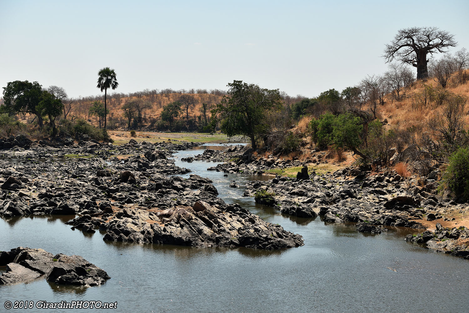 Great Ruaha River côté nord-est