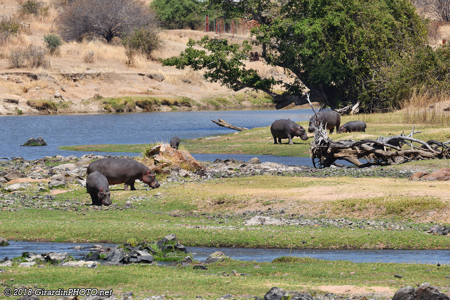 En direction d'Hippo Pools