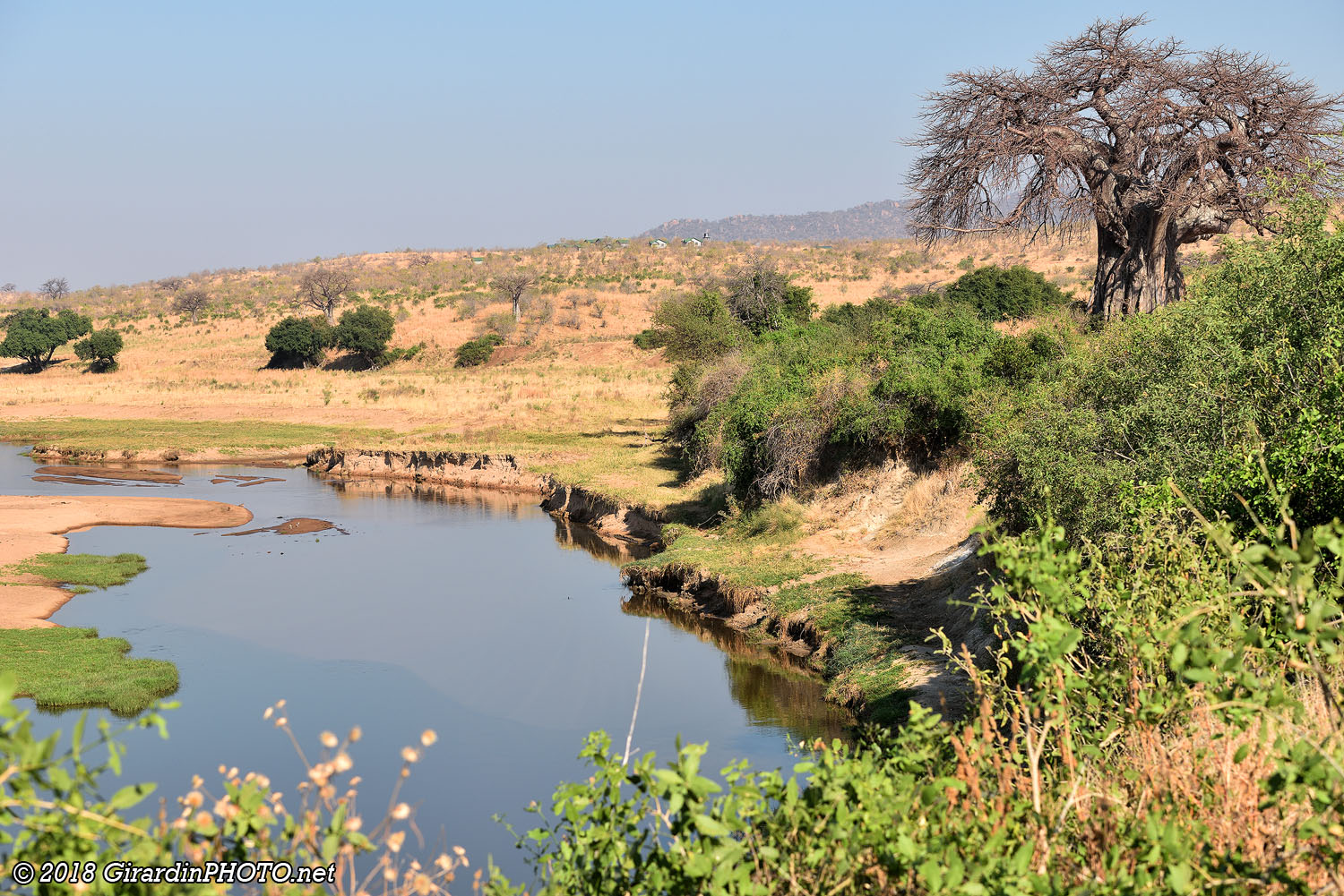 Great Ruaha River