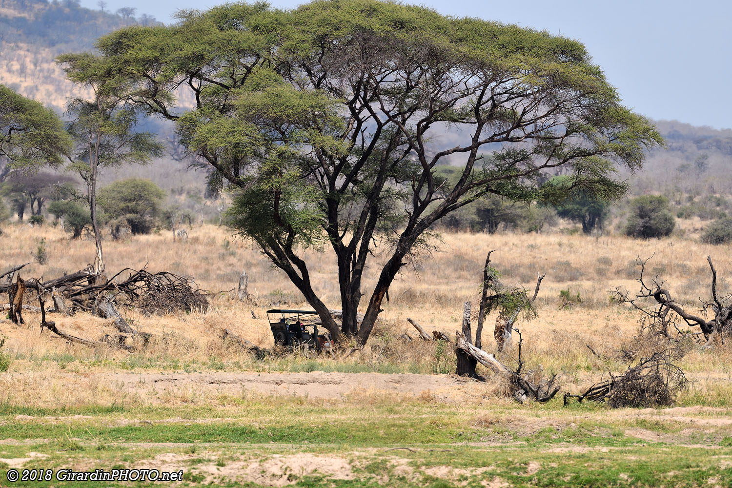 Il y a deux lions près de cette voiture ! (si vous ne le trouvez pas, cliquez sur l'image !)