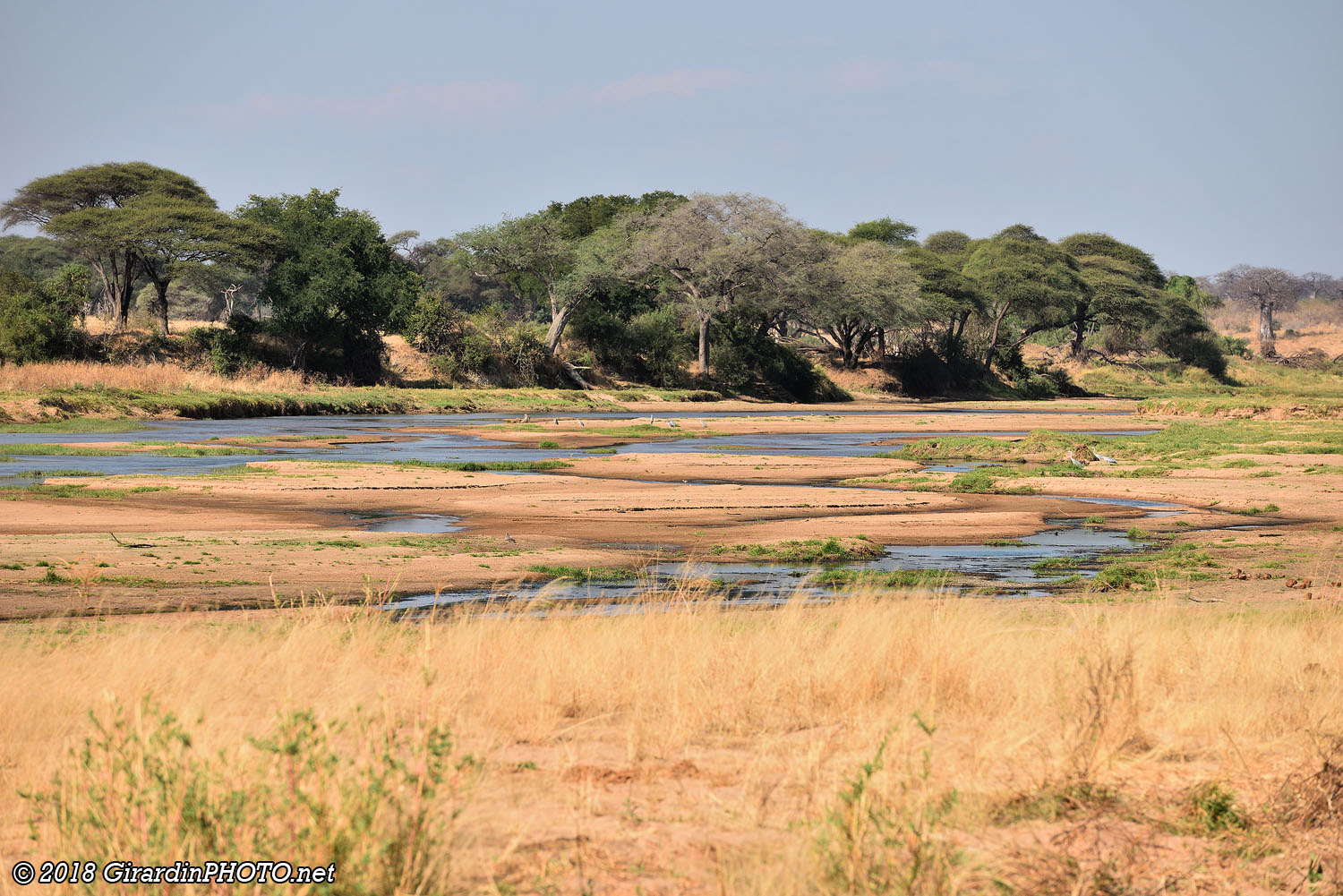 Arrivée sur l'autre rive de la Great Ruaha River
