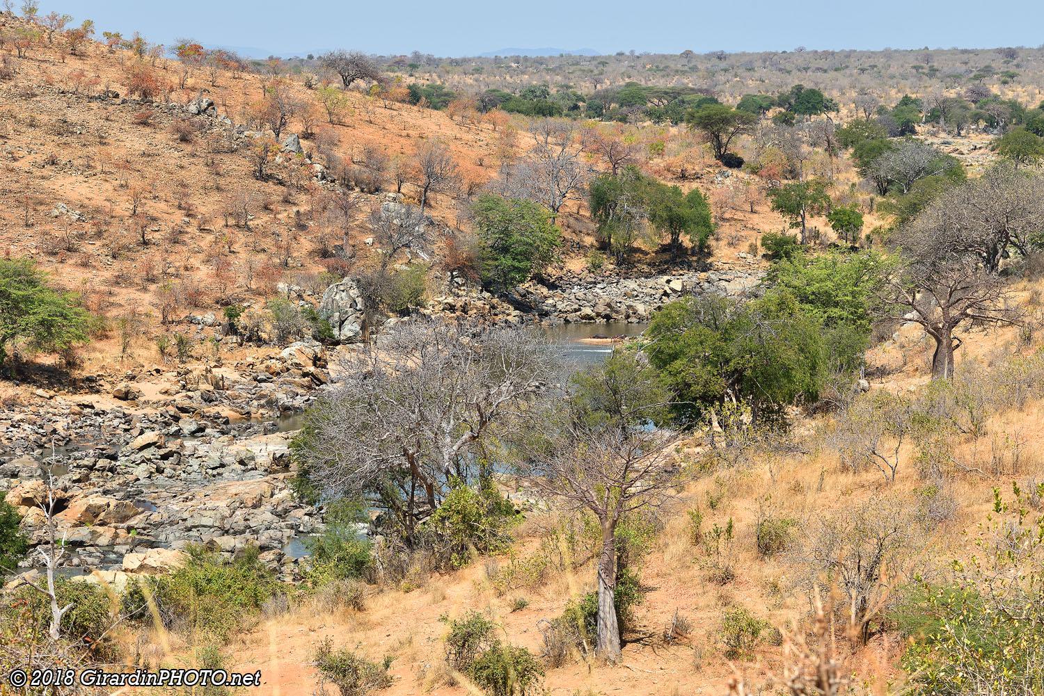 Great Ruaha River après Hippo Pools