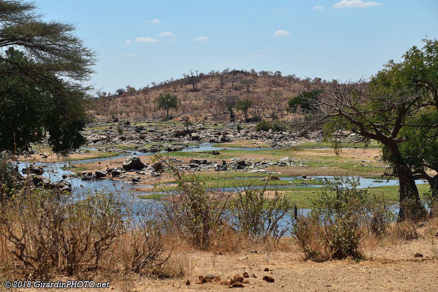 Great Ruaha