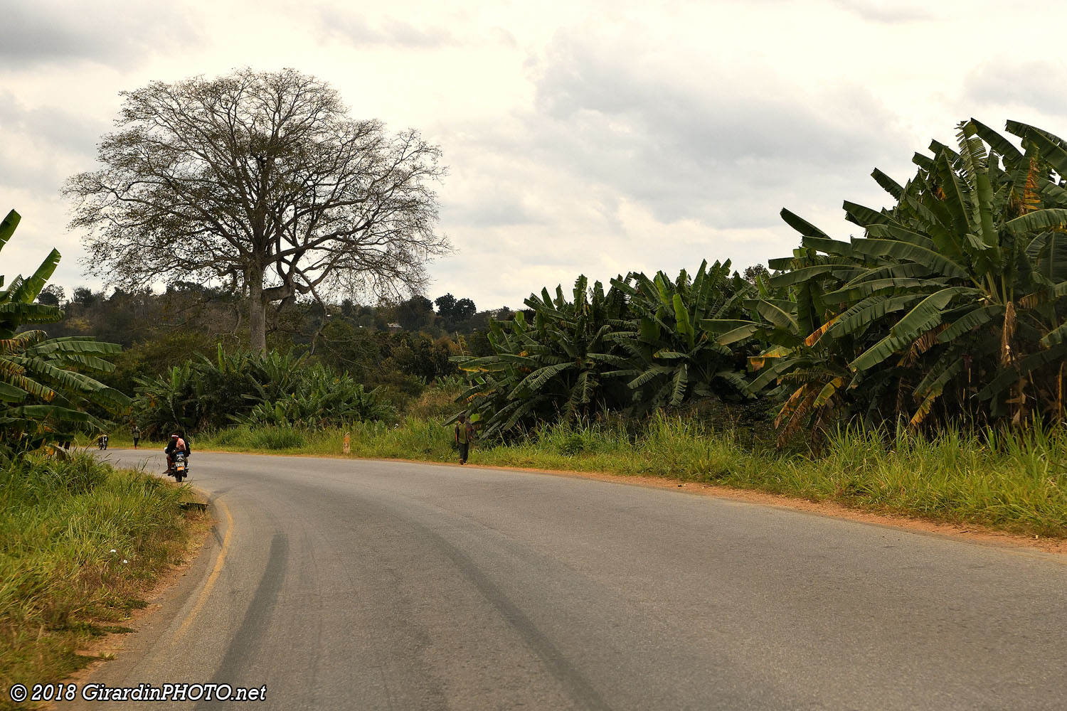 Route A7