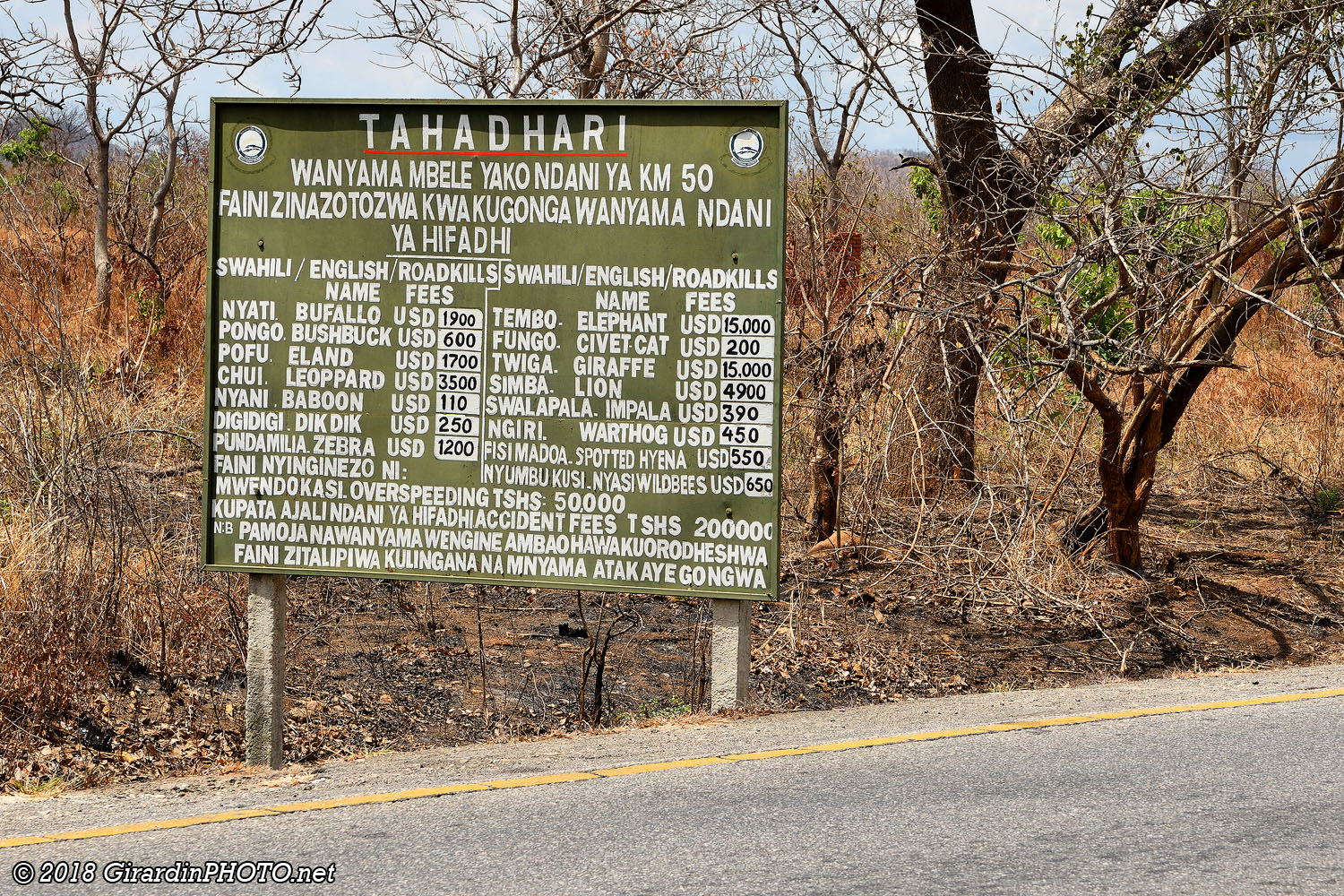 Roadkills fees à la frontière du Mikumi National Park