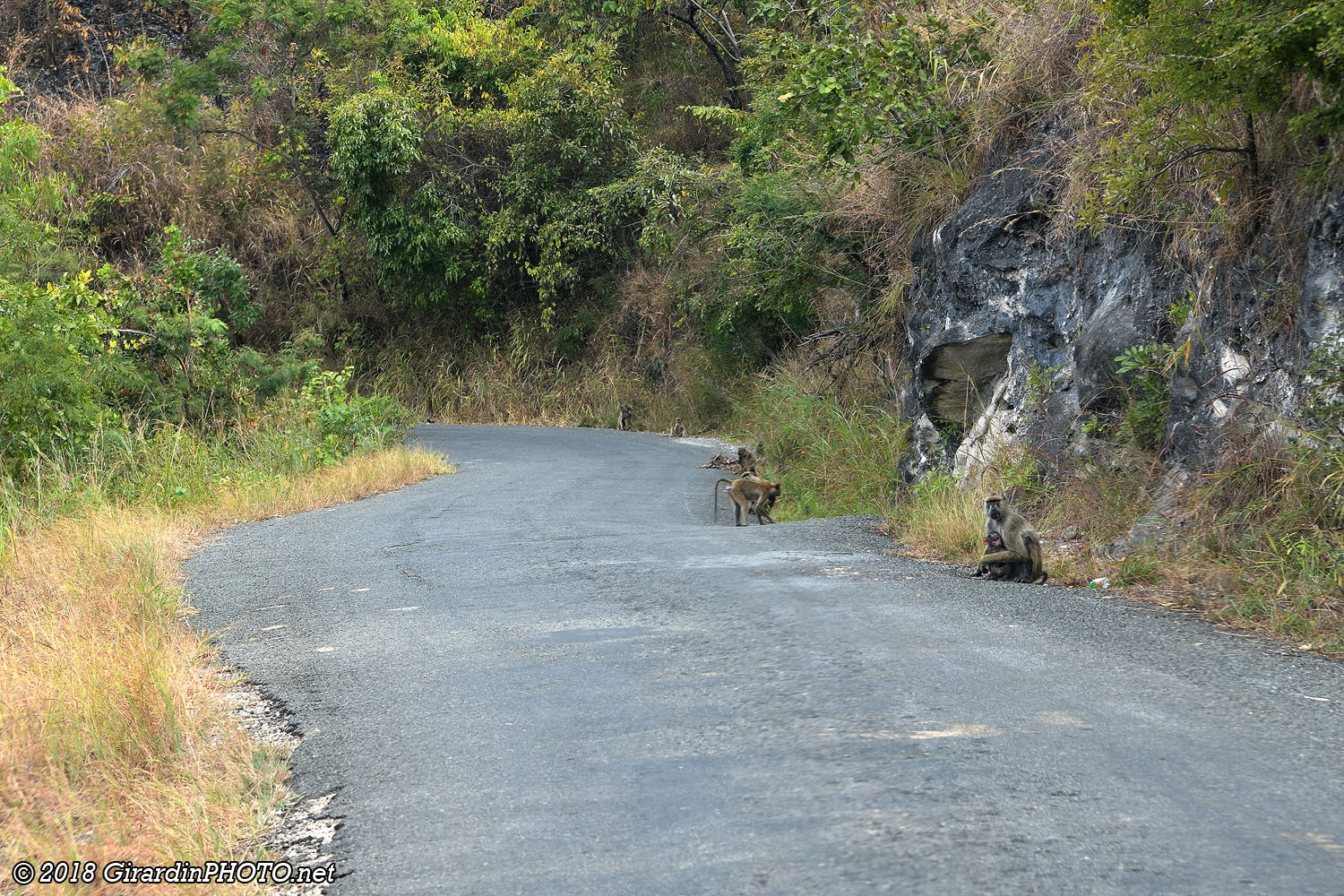 Piste qui rejoint le nord du Selous