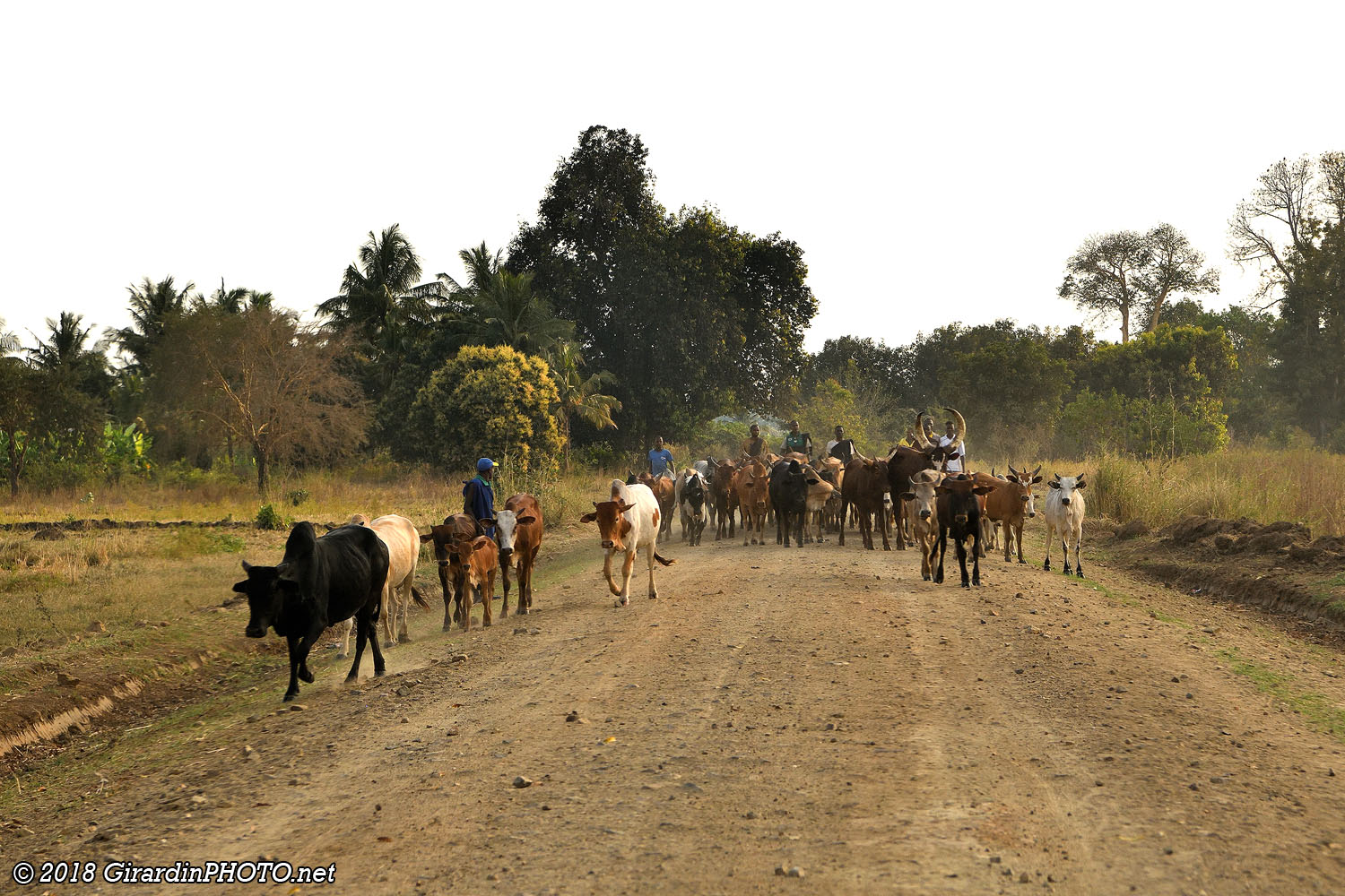 Piste qui rejoint le nord du Selous