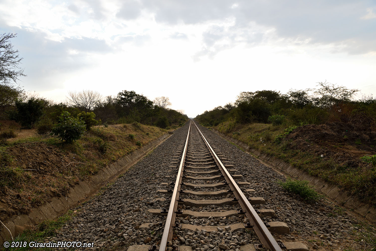 Tanzania-Zambia Railway Authority (TAZARA) : voie ferrée qui relie la Zambie à Dar es Salaam