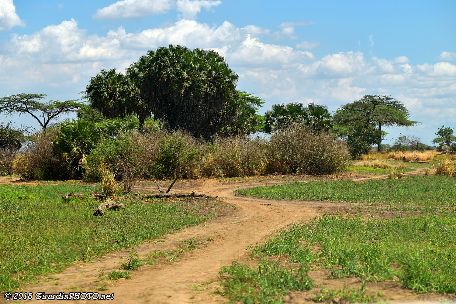 Piste du Selous