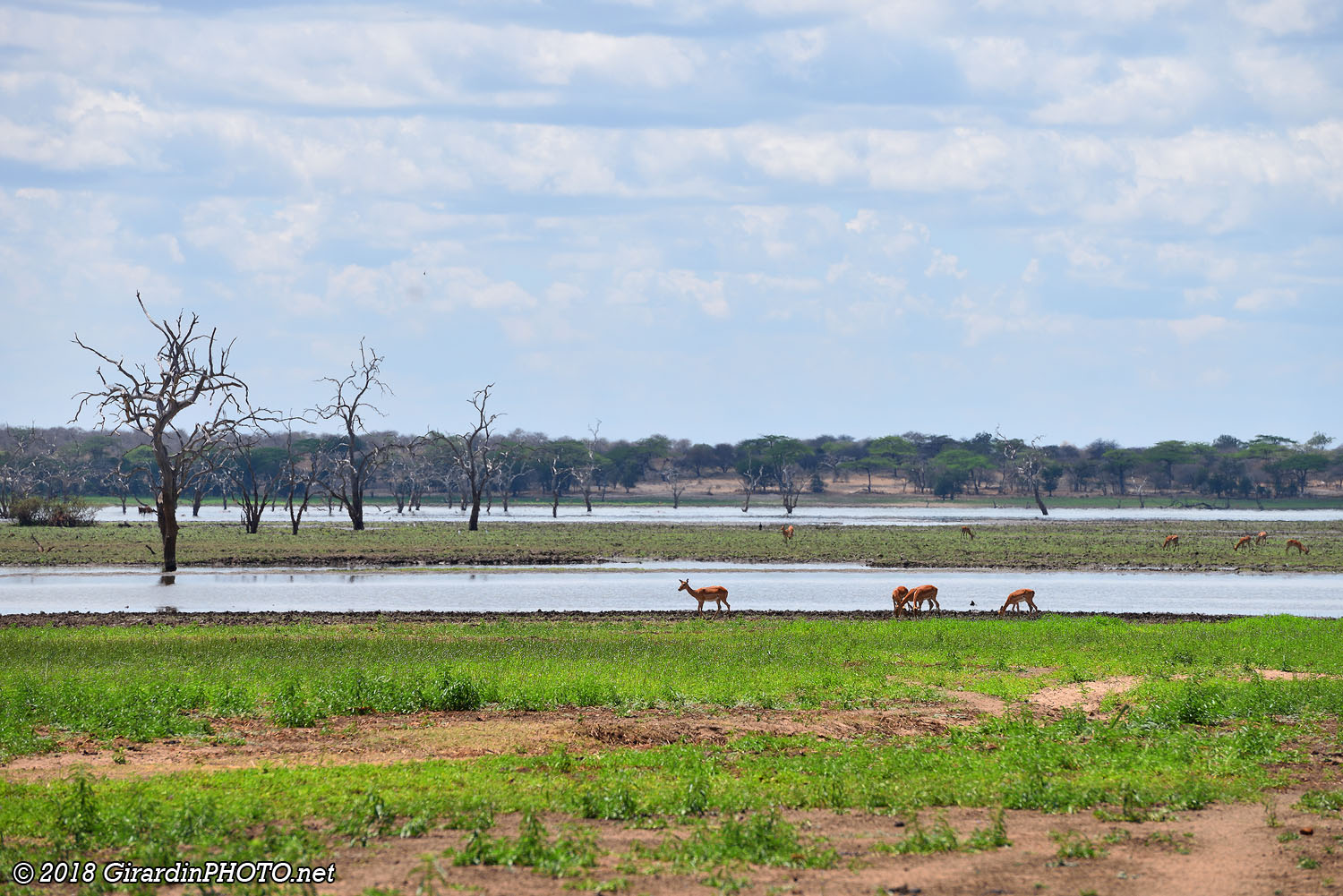 Plaine du Selous