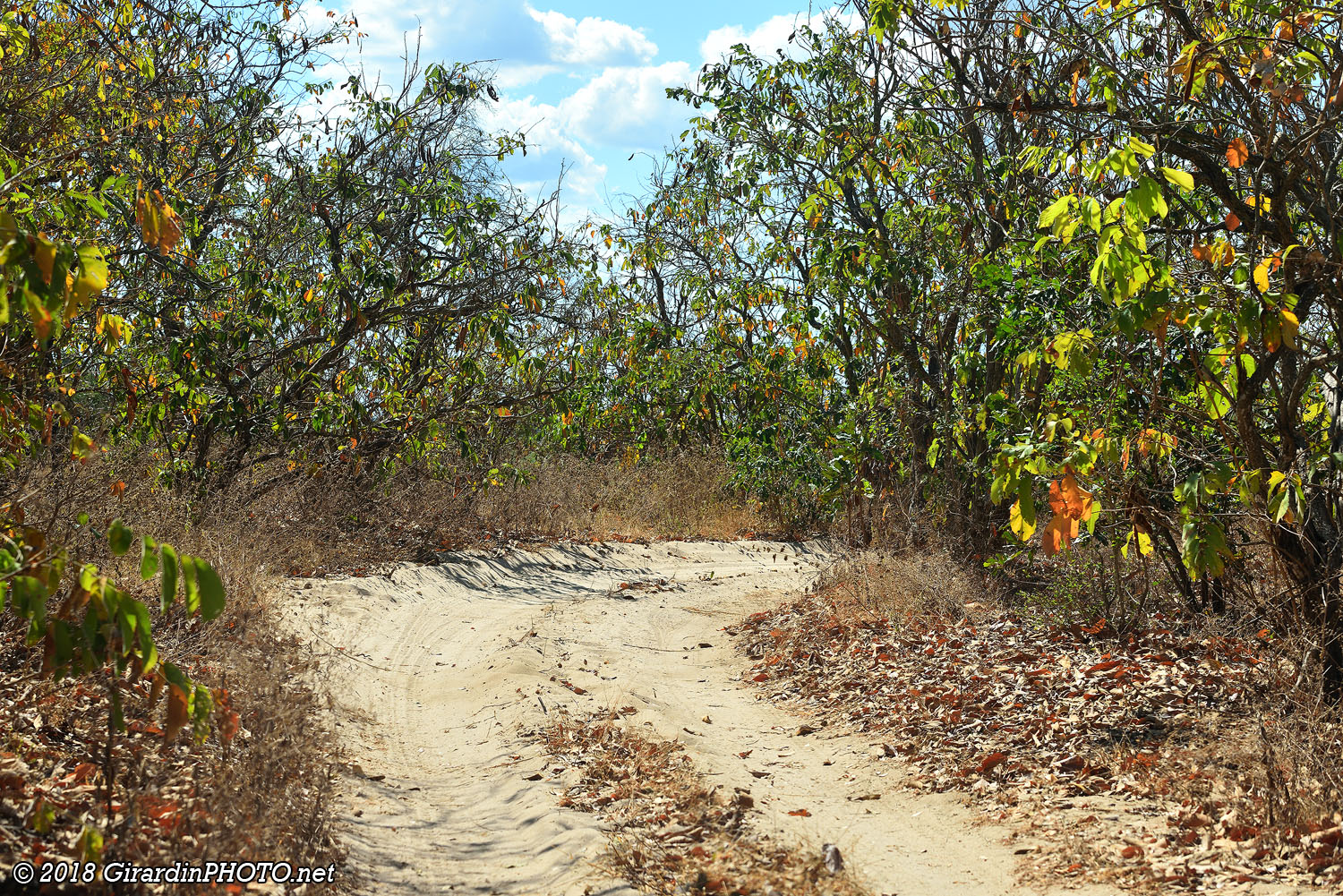 Piste le long de la Rufiji River