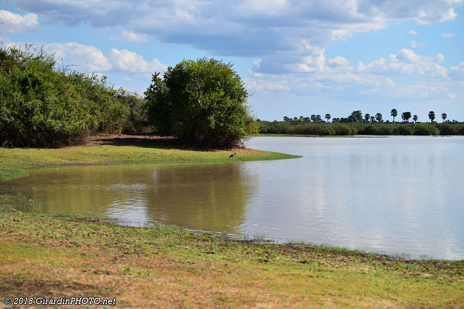 Un des lacs du Selous