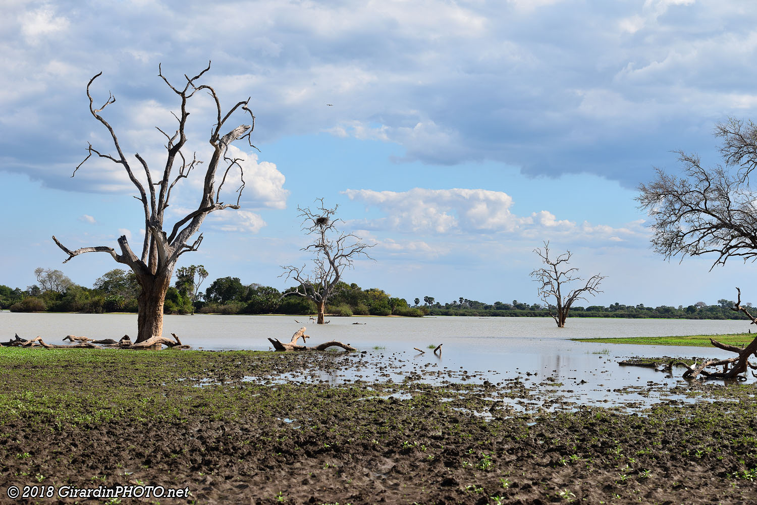 Paysage des lacs du Selous