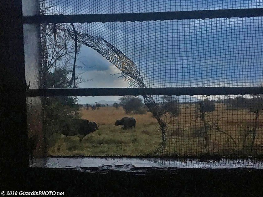 Photo prise au smartphone depuis la fenêtre des toilettes