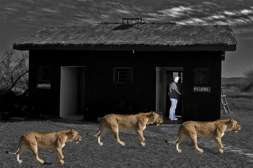 Reconstitution des faits (photo montage)