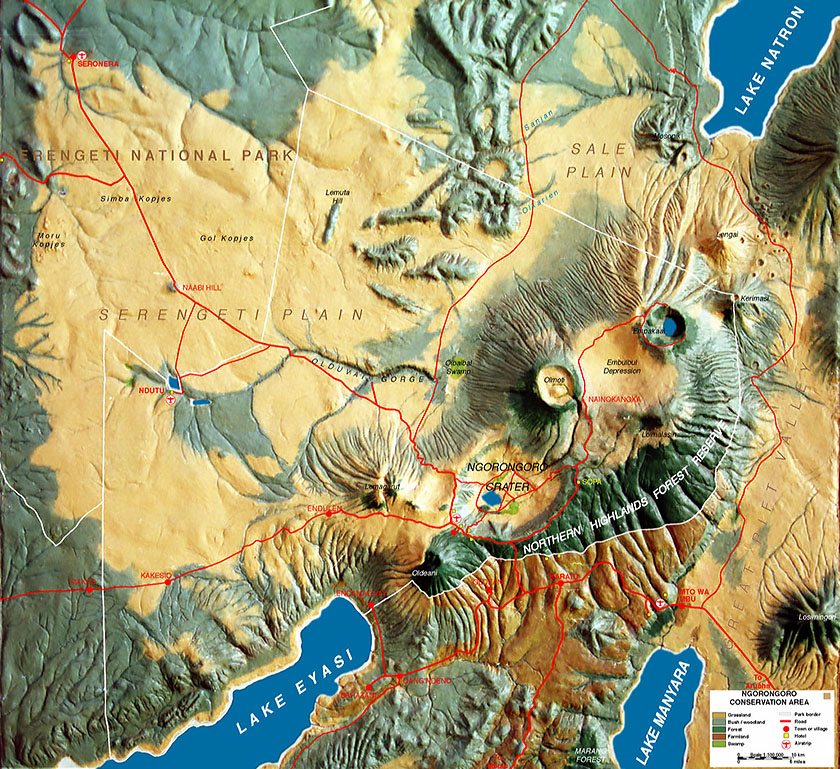 Ngorongoro Conservation Area 3D