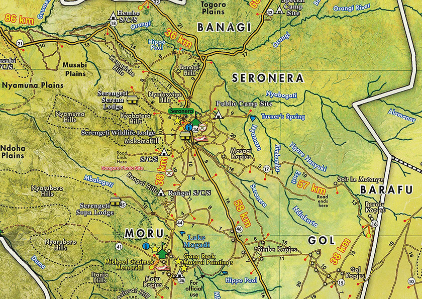 Centre du Serengeti National Park
