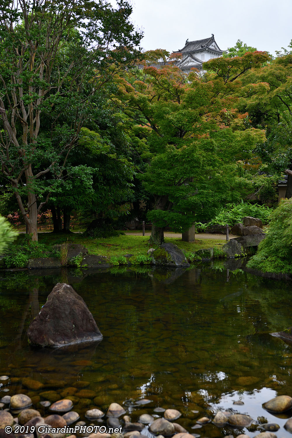 The Garden of Summer trees