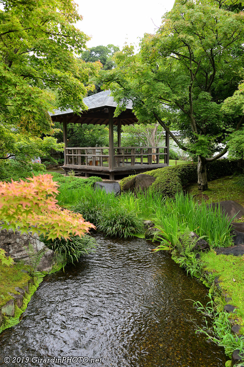 The Garden of Summer trees