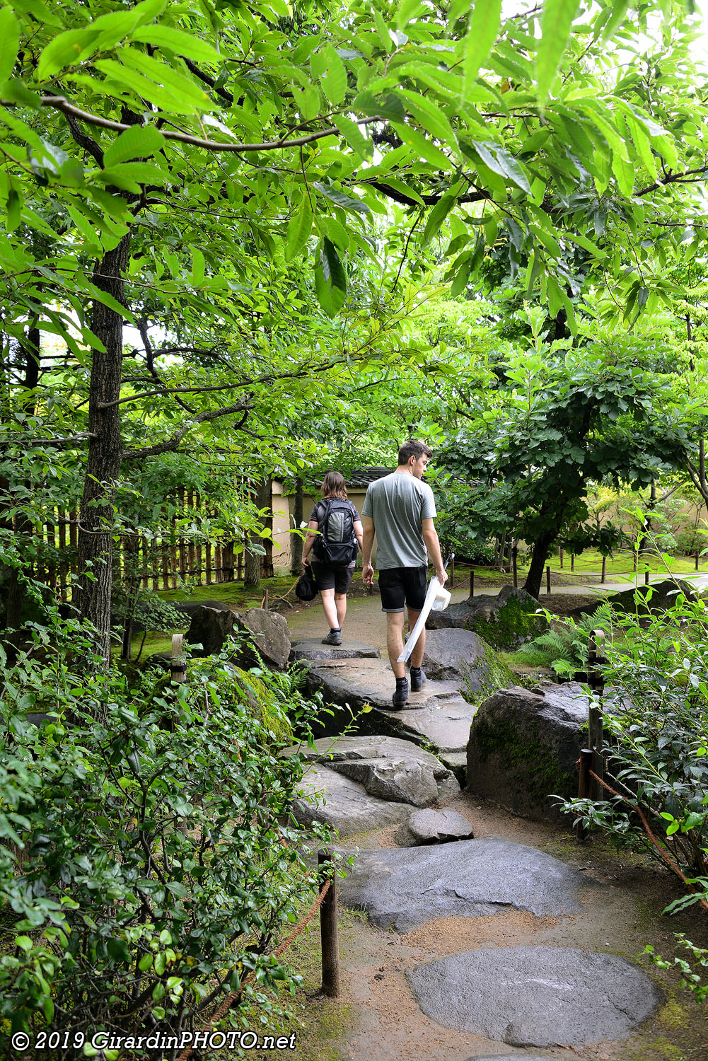 The Garden of Pine Trees